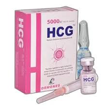 hcg-5000-iu